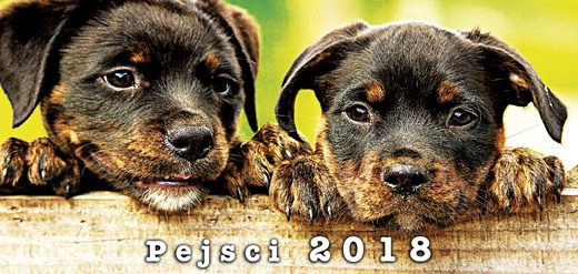Kalendář_Pejsci_2018_projekt_Sestava 1.jpg